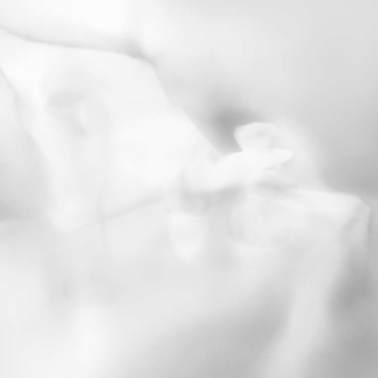 Table roughness estimated by WildLight